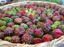 pitaya basket